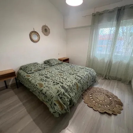 - Superbe Plein Centre Apartment